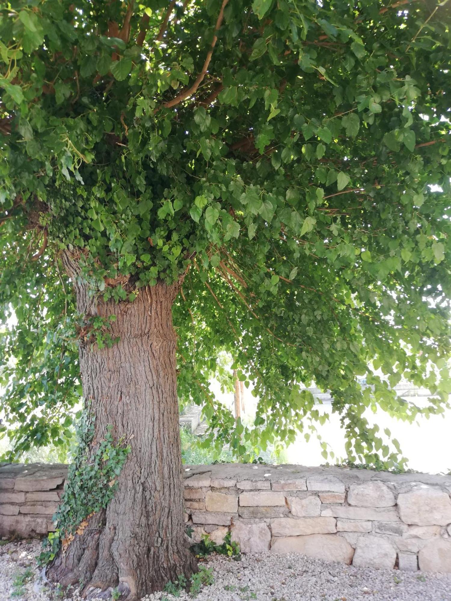 Lory Villa Sveti Lovreč Pazenatički Buitenkant foto